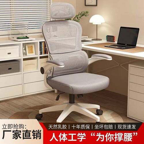 体工学椅电脑椅透气靠背椅家YMD用舒适久坐公椅生宿舍电竞人办椅