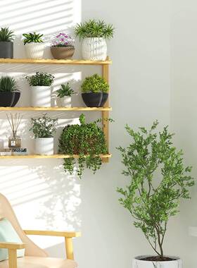 德ysj01收国2026新浴款室竹木纳架竹制浴室架3层可调节层高浴室墙