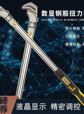 数显钢FWW筋扭手测力管钳式扭力扳扳手直螺纹钢检筋套筒预置式扳