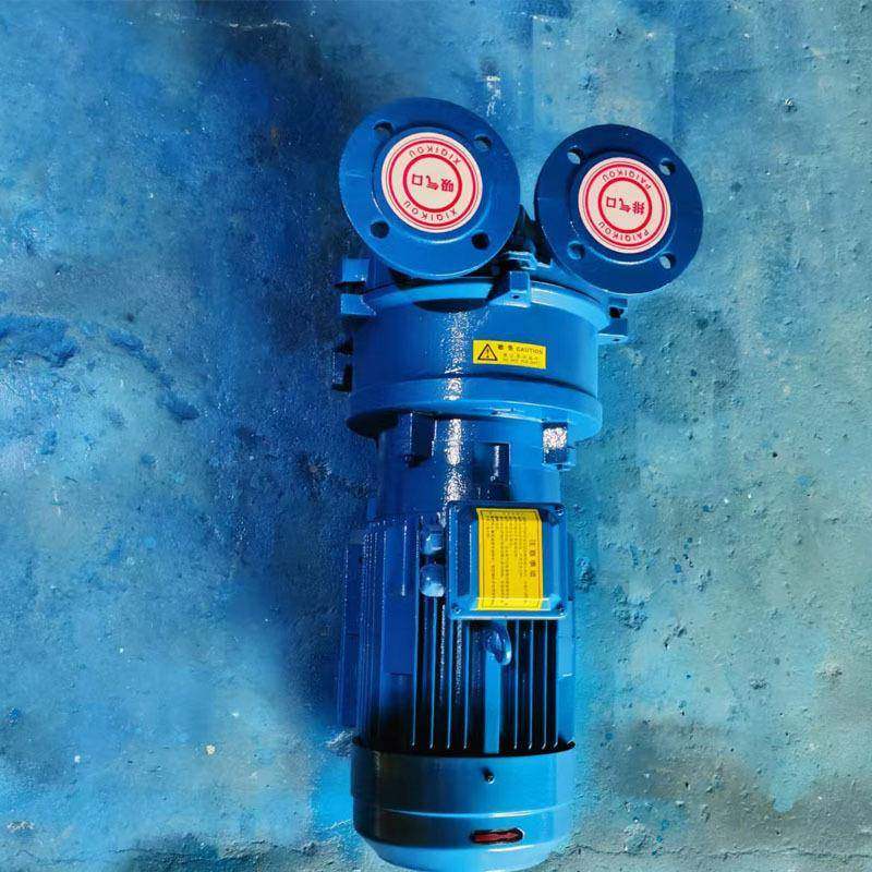 瑞真空泵BV水环2真空泵旋泵头IJS水环真空泵油式片真空泵V派C50,鲜花速递/花卉仿真/绿植园艺,其它园艺用品,淘宝优惠券,粉丝福利购,淘宝优惠卷