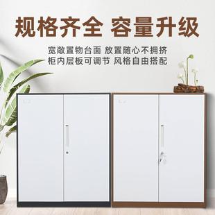 矮柜文件资柜料储物工窄边中柜二斗柜铁皮员办公室档BYY案柜钢制