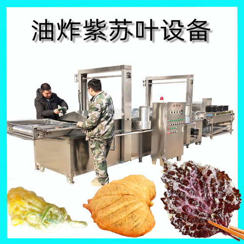 全自动桑叶紫苏叶隧道式油炸机