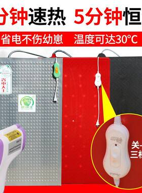 猪用仔猪恒温电热板保温箱