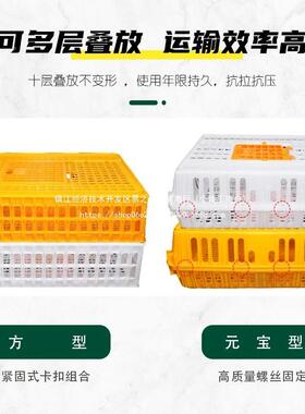子鸽笼塑养料鸡笼筐子家禽鸡鸭殖兔TXK笼运输周转笼箱鹅家用笼成