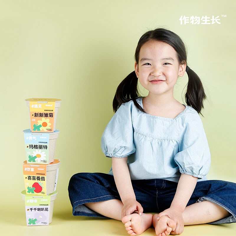 作物生长阳台室内盆栽玛格丽特趣味种植小盆栽diy材料儿童种植