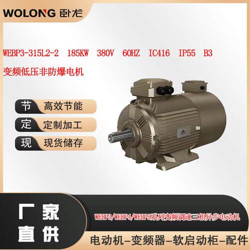 WEBP3-315L2-2185W380V60HZIC416南阳防爆变频电机