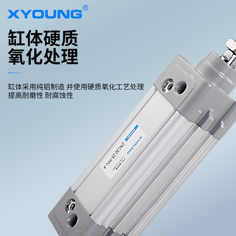 气动DNC-100标准气缸DNC-75-PPV-带磁标准气缸DNC-