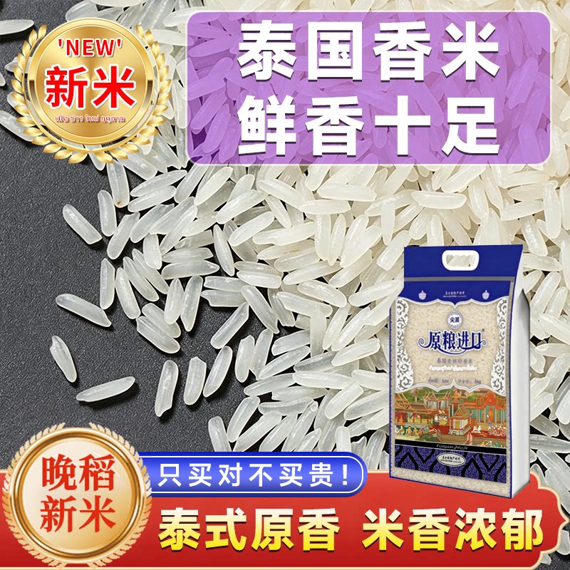 泰国素林府香米原粮进口当季新米原生态大米猫牙长粒香米泰式原香