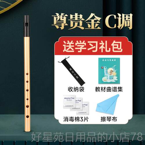 高档爱尔哨笛C调调初学笛D子儿童兰成人专乐业演奏金属直笛六孔竖