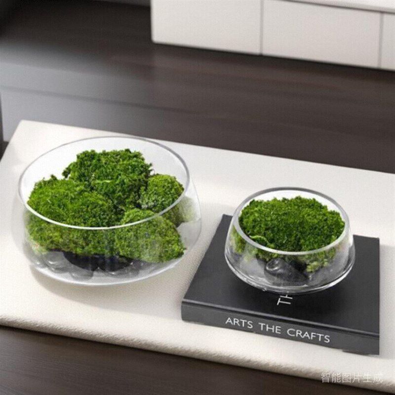 透明玻璃花瓶水培水仙花盆鲜花插花器软装摆件样板房民宿苔藓盆