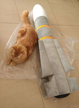 高档AIM54不毛意死鸟导弹大号创枕绒玩抱具玩偶