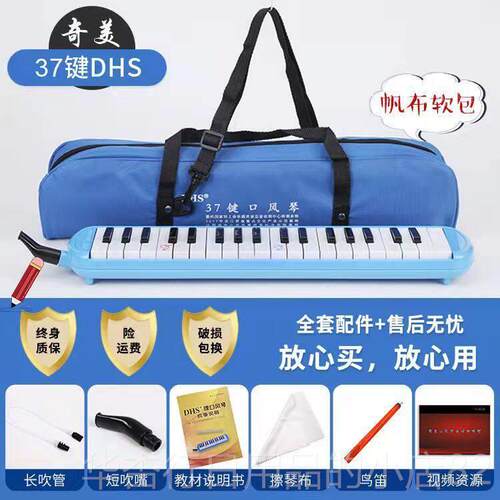 正品HS口风琴琴2键37键儿童初学者幼儿小学生用初D中成人专业3口