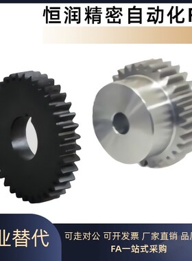 齿轮VNF41 42 43 51-1.0-100 110 120-B10-A/B-P10 P42 P38N P45N