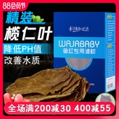 鱼缸榄仁叶调节PH酸碱度水族懒人叶降酸揽人叶改善水质树叶斗鱼缸