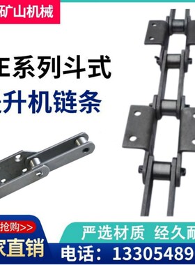 NE30斗式提升机链条NE15/30/50/100板式链条链轮料斗板链工业链条