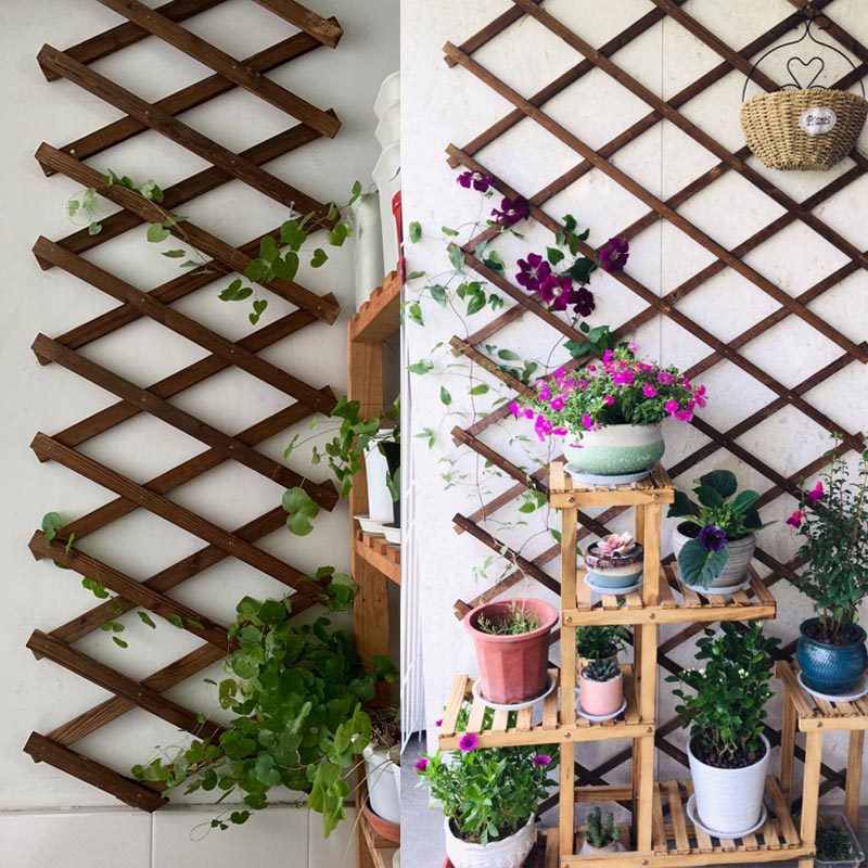 篱笆木栅栏伸缩栅栏防腐木爬藤架网格花架阳台墙壁装饰花园围栏,鲜花速递/花卉仿真/绿植园艺,栅栏,淘宝优惠券,粉丝福利购,淘宝优惠卷