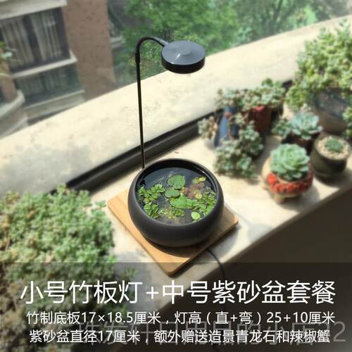 高档创意紫陶瓷鱼缸桌面态盆造砂景微景观生水培植物盆景萍观赏鱼