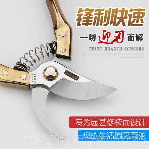 正品本日进口SK5钢修枝园林家用工具果树果剪刀园园艺花剪子剪粗