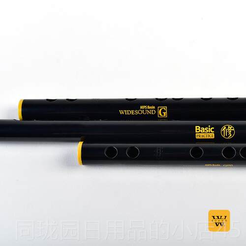 正品泛响 PRAIHCE 修系列IPST树脂 训练级C笛 G
