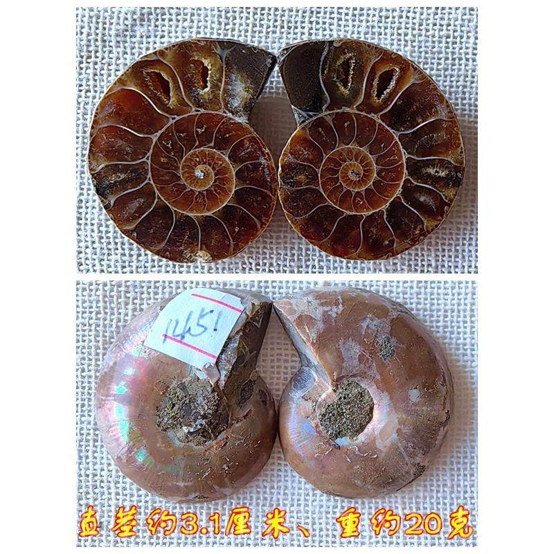 正品开片叶石化石摆件石材菊动物招财全玉化情吊古生物标本99坠侣,节庆用品/礼品,文创考古盒,淘宝优惠券,粉丝福利购,淘宝优惠卷