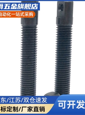 FFD01俩平面型 粗牙拉伸弹簧用支柱AIPO8/M10/M12