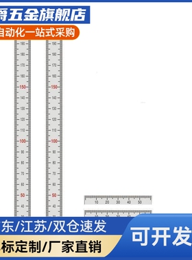 标尺BLR51/52/55/56/61/62/65/66/67L100300刻度纵向型