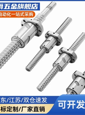 压轧滚珠丝杠轴16LCP02/03/04/05-16-5-L150~1200-F15/F30-P6/P10