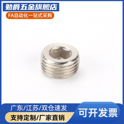 锥形沉头螺塞 不锈钢喉塞 MSWTS/MSWTSK-J/S/1/2/3/4/6/8