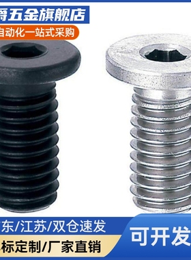 平头超短头薄头螺栓TAF52 CBSTS4/5-5/6/8/10/12/14/16/18/20/25