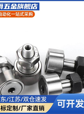 BPC凸轮05随动器BPF01-d5-d6-d8-d10-d12-d16-d18-d20-d24-d30-pp