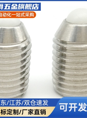 球头柱塞ZAF21/ZAF22/ZAF23/NBSS/NBSM/NBSZ3/4/5/6/8/10/12/16