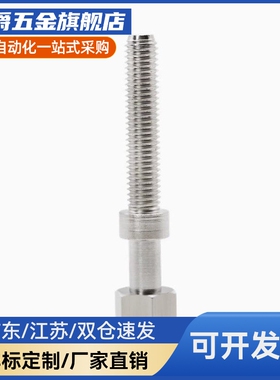 PAZ01-M4/5/6/8-L10/15/20/25/30 S45C调整螺栓标准内六角型粗牙