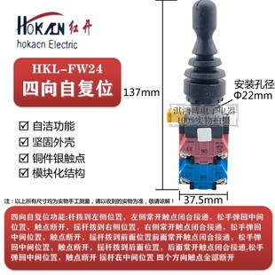 两相四相自锁自复摇杆操纵杆 FW22 红开十字主令开关HKL
