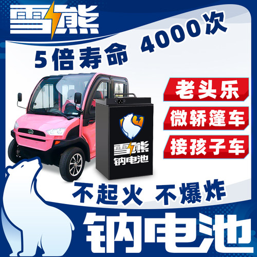 雪熊钠离子电池组平替48~72v锂电动篷车老头乐微轿接孩子三轮四轮