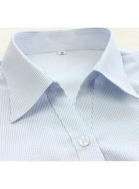 正品春秋女士行码白底细蓝色条纹衬衫V领银作移动高棉免烫大衬衣