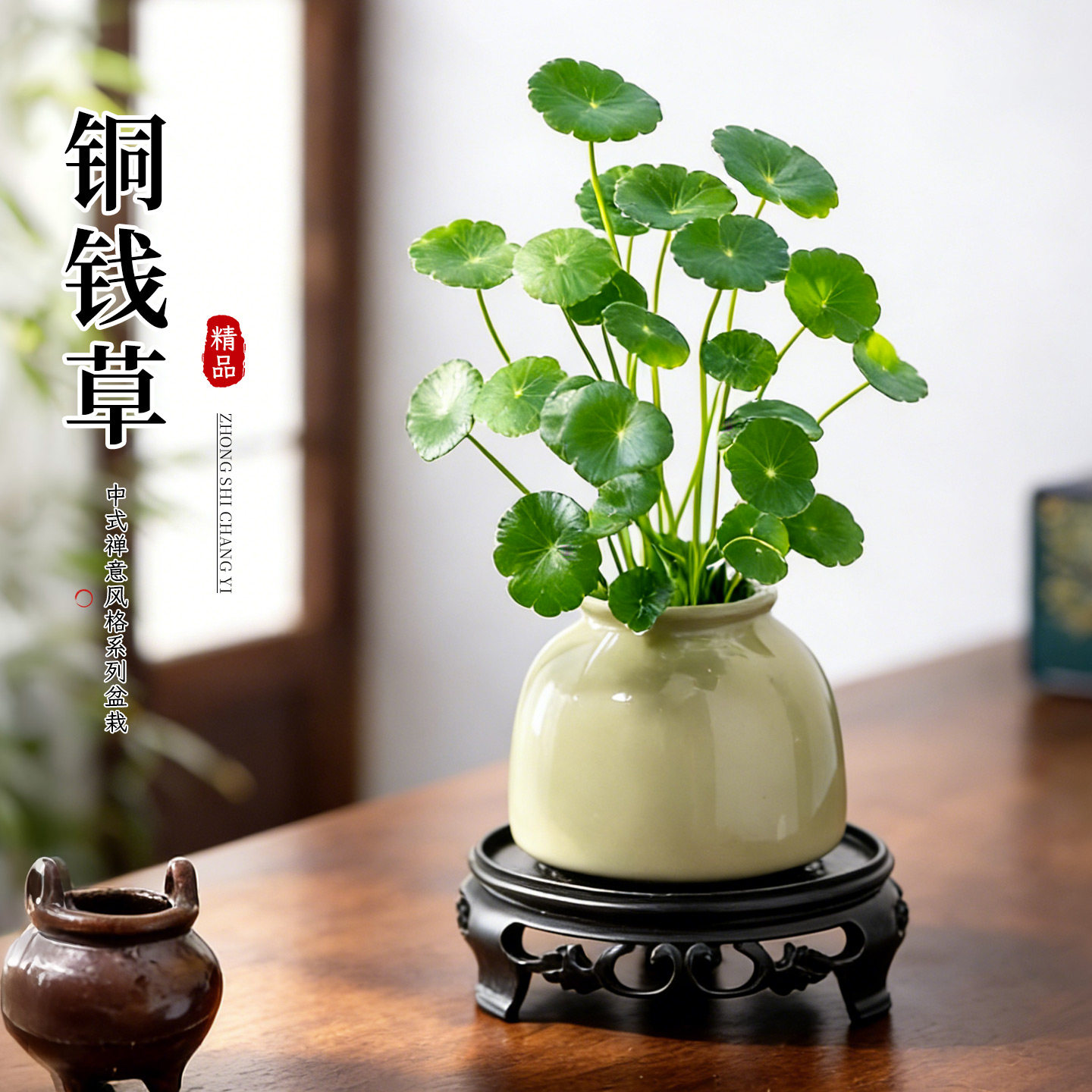铜钱草盆栽小绿植客厅茶桌办公室桌面室内金钱草水培植物招财摆件