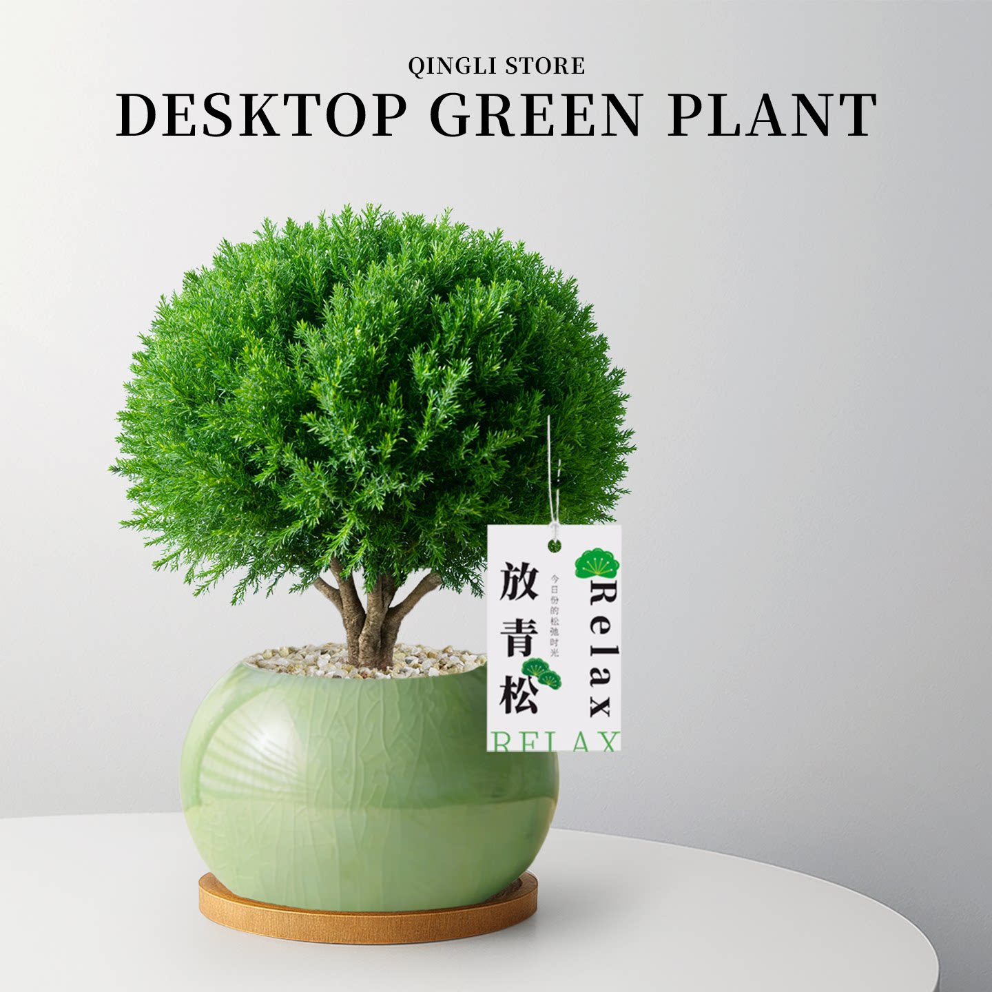 放青松绿植盆栽雾松植物摆件盆景办公室内桌面情绪稳定四季好养活