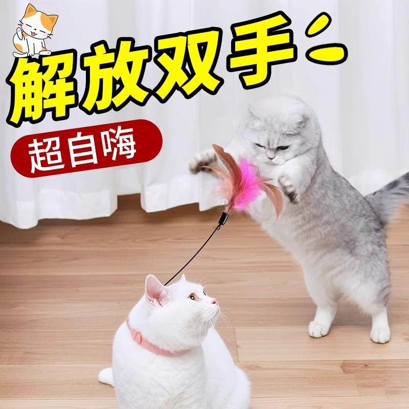 【下单立减50】猫玩具自嗨猫咪解闷神器幼猫耐咬带铃铛羽毛用品