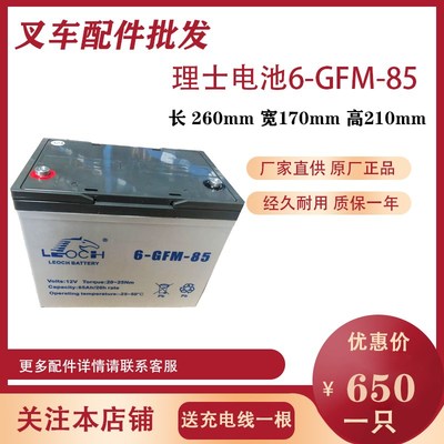 LEOCH理士蓄电池 6-GFM-85 12V85AH电动叉车电瓶中力合力诺力叉车