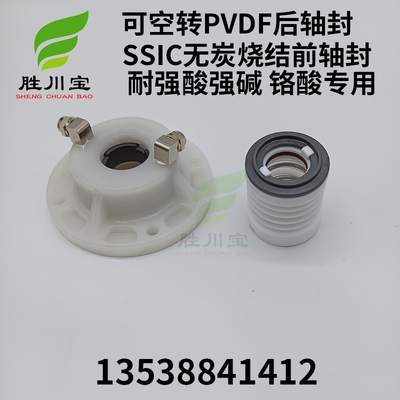 大头泵可空转PVDF氟塑料前后轴封铁氟龙机封自吸泵SSIC前轴封WB3-
