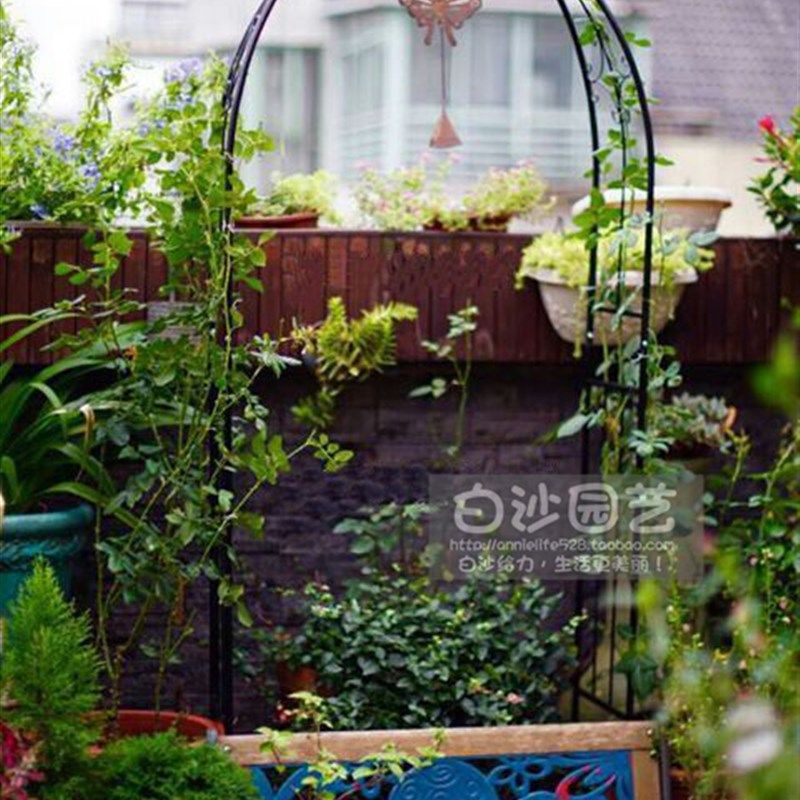 铁艺藤月花架靠墙弓形花架欧式拱门架可分开2用适合阳台露台特卖,鲜花速递/花卉仿真/绿植园艺,花架,淘宝优惠券,粉丝福利购,淘宝优惠卷