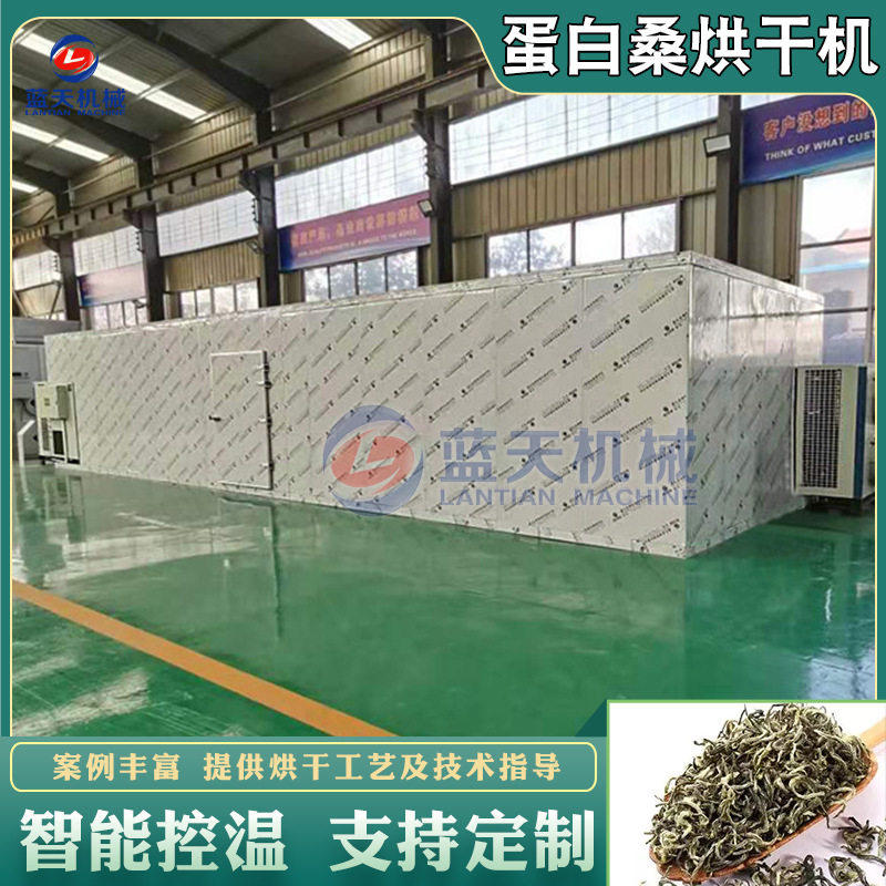 空气能蛋白桑烘干机 热泵式饲料桑大叶桑烘干房 蛋白桑叶烘干设备