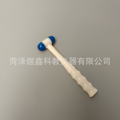 叩诊锤  膝跳反射神经叩诊锤  软锤头 初中生物教学仪器