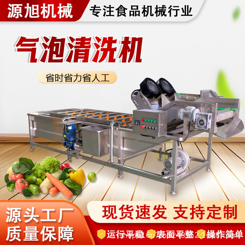 全自动气泡清洗机果蔬叶菜类喷淋清洗机辣椒毛肚海鲜高压清洗设备
