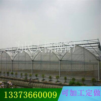 直销贵州烟草外遮阳薄膜连栋大棚厂家 内保温风机湿帘连体棚骨架