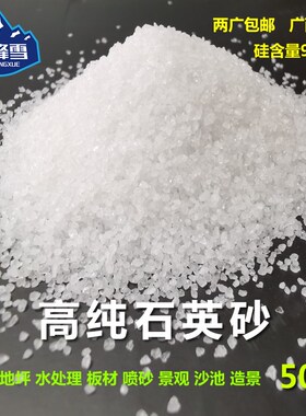 50斤纯白石英砂灭烟沙石英沙白色细沙子酒店垃圾桶烟灰缸造景白沙