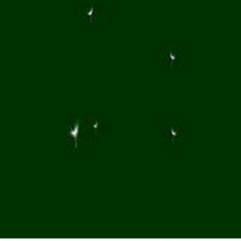 深绿色墨绿色内墙乳胶漆深绿浅绿嫩绿色草绿浅绿内墙面漆环保净味,基础建材,内墙乳胶漆,淘宝优惠券,粉丝福利购,淘宝优惠卷