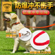 pawimage狗狗伸缩牵引绳P绳 防爆缓冲中型大型犬金毛加粗 狗P链
