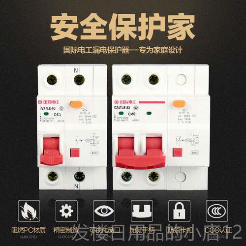 正品国电际电工小型断路器DZ47家用电闸12P6关3A总空气/开带漏保