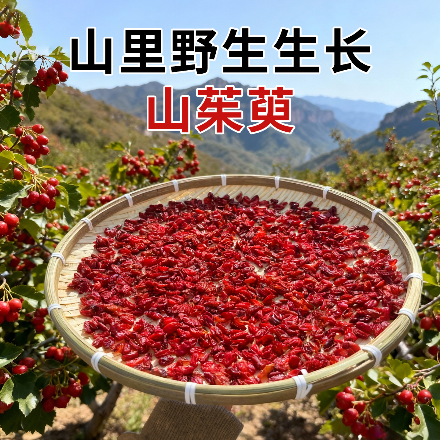 秦岭野生山茱萸干中药材正品500g新货山茱萸肉山药五味子代茶饮